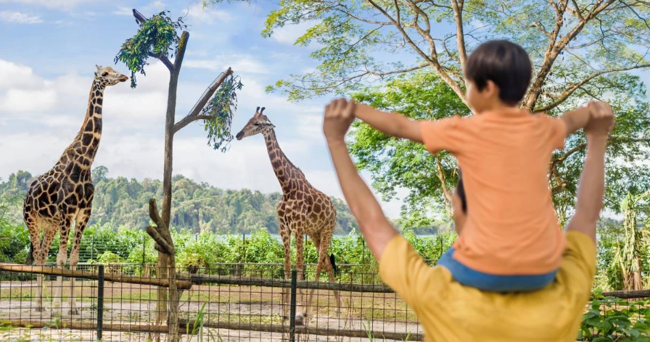 10 Best Things to Do in Singapore with Kids