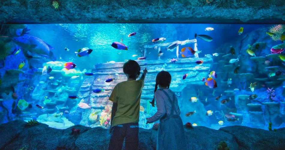 10 Best Things to Do in Singapore with Kids