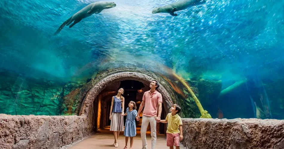 10 Best Things to Do in Singapore with Kids