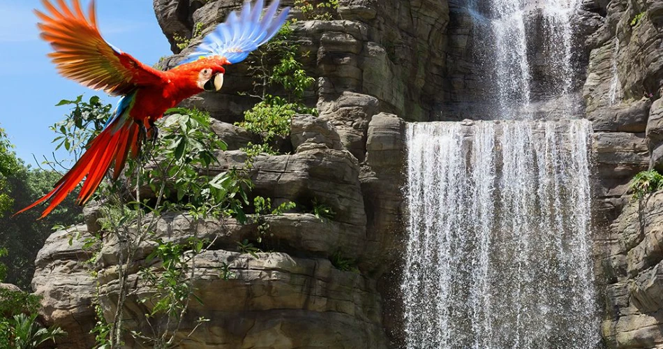 10 Best Things to Do in Singapore with Kids
